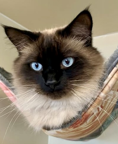 Max